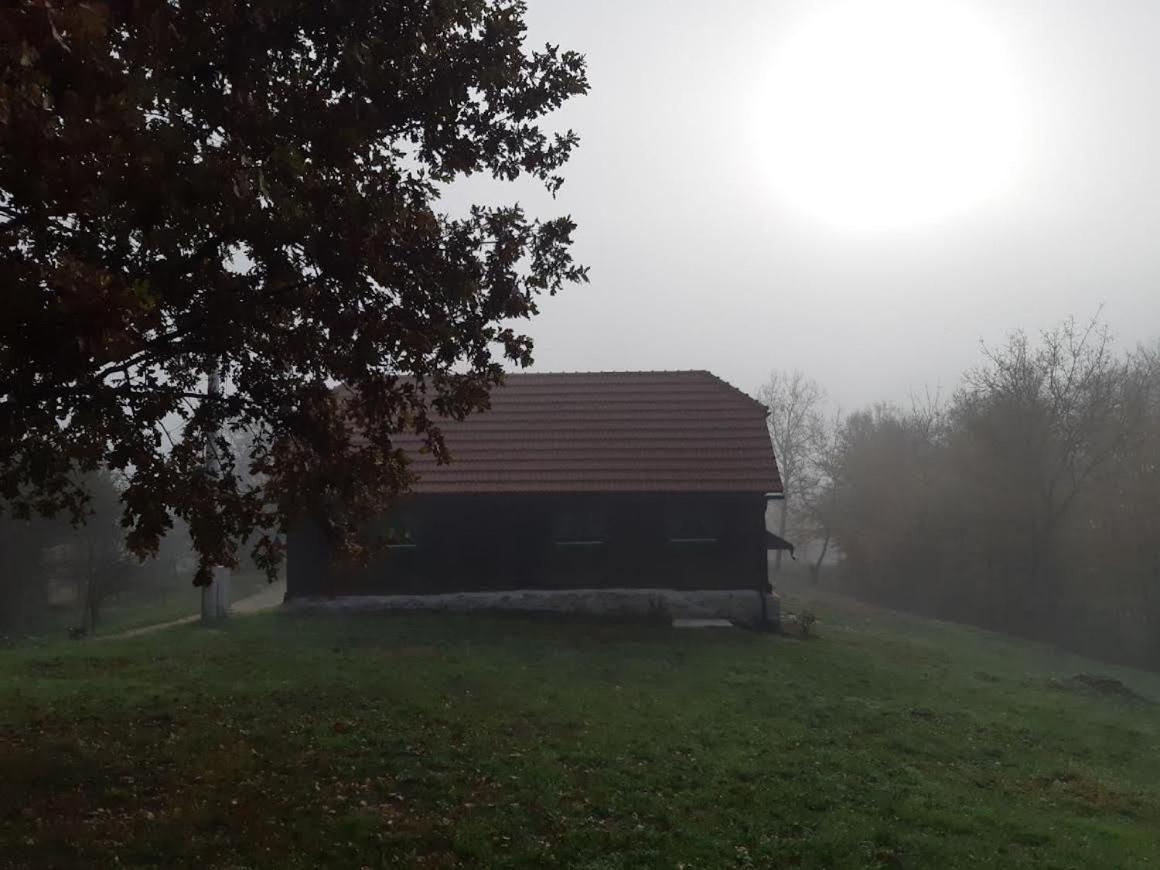 Bakina Iza Vila Duga Resa Exterior foto