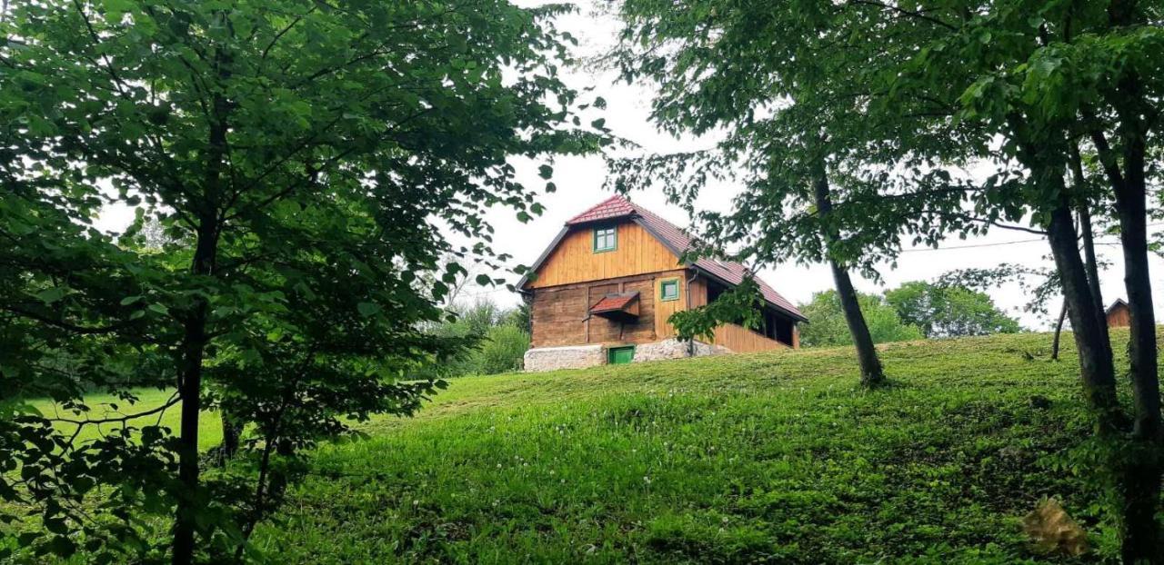 Bakina Iza Vila Duga Resa Exterior foto