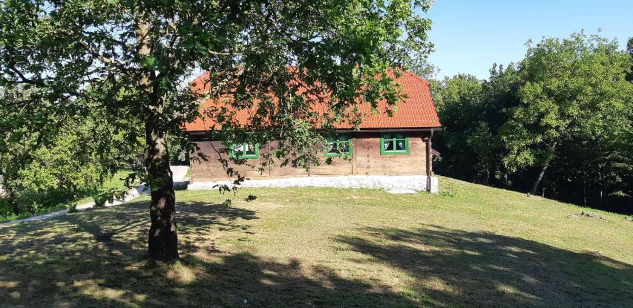 Bakina Iza Vila Duga Resa Exterior foto
