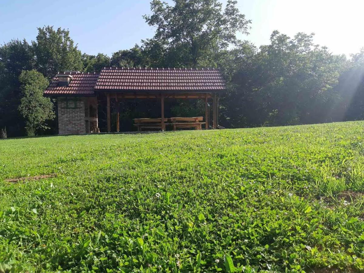 Bakina Iza Vila Duga Resa Exterior foto