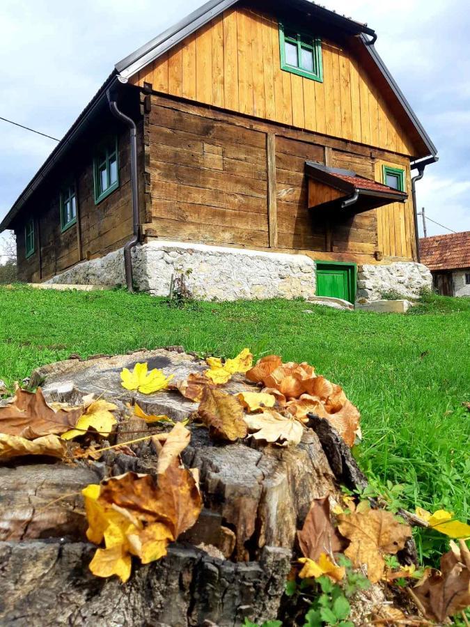 Bakina Iza Vila Duga Resa Exterior foto